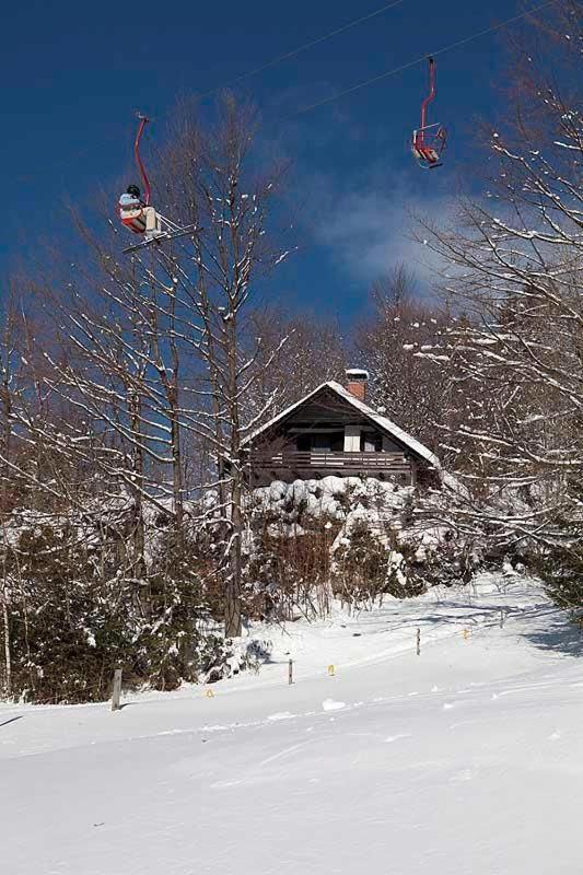Villa Pet & Family Friendly House Viktorija - House Near Golica With Triglav View Jesenice Exterior foto